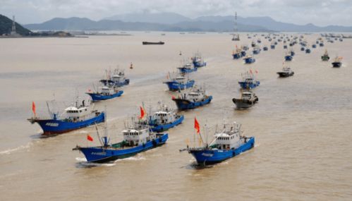 萬舸爭(zhēng)流,禁漁三月首開海,國(guó)捕海貨有望彌補(bǔ)凍品進(jìn)口缺口