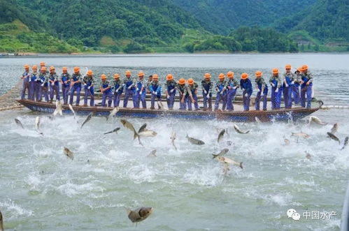 太冤了 水產養殖污染僅占水污染0.03 一定要科學認識水產養殖業與水環境污染