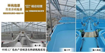 養(yǎng)殖池漆,專業(yè)養(yǎng)殖池漆,專有養(yǎng)殖池漆,專用養(yǎng)殖池漆 增氧設(shè)備價(jià)格信息