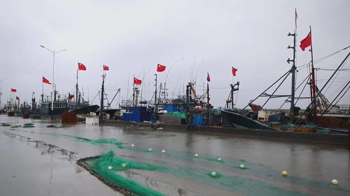 昌邑 開展 空中飛線 專項(xiàng)整治 助力文明城市創(chuàng)建