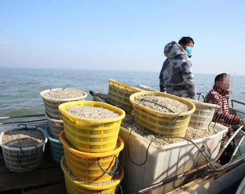 聚焦 巢湖 十年禁漁 ,你想知道的都在這