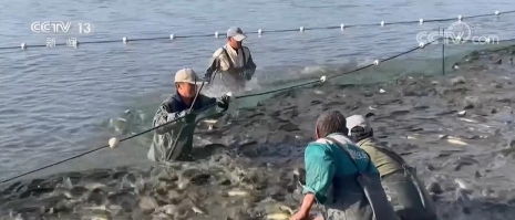 魚躍人歡 魚塘好 豐 景