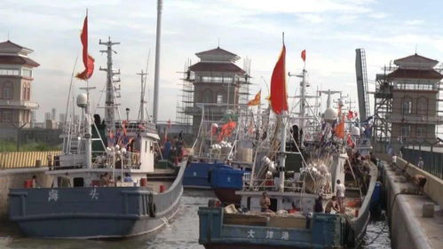 啟東呂四漁港開捕了 一大波海鮮正向我們撲來