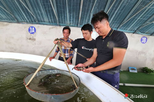湛江人在新疆成功實現海水養殖