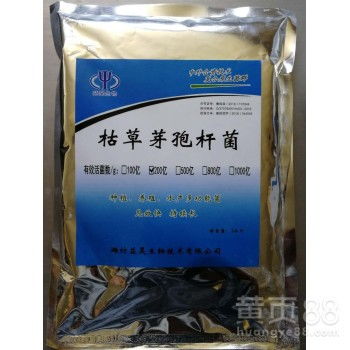【枯草芽孢桿菌200億菌種畜禽水產養殖魚蝦飼料添加劑益生菌廠家】-