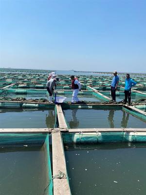 濟源水產養殖損失價值評估