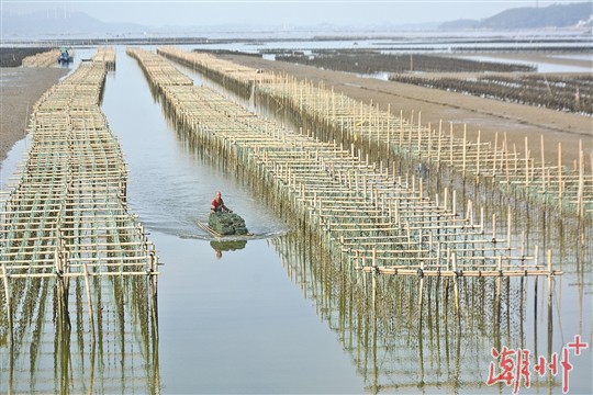 大力發展水產養殖業讓漁民走上致富路