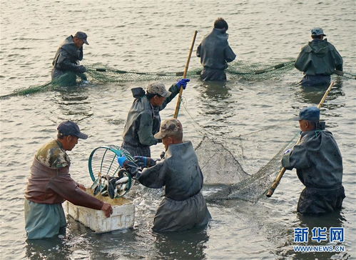 河北灤南 工廠化水產養殖助增收