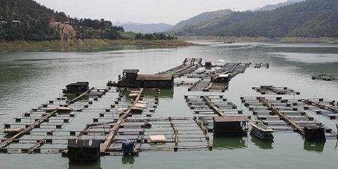 地震災區青川縣依托優質水源發展水產養殖