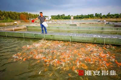 江蘇淮安:抓住“三特”產(chǎn)業(yè)“牛鼻子”,走出鄉(xiāng)村振興特色路 !