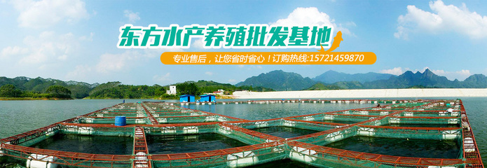 上海鳊魚批發(fā)基地 東方水產(chǎn)值得信賴-各地要聞-國際新聞-新訊網(wǎng)提供最快 最全 最新 最權(quán)威的新聞網(wǎng)站!