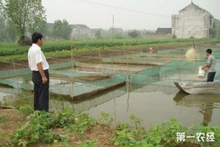 第一書記劉建波 筑牢黨建基礎(chǔ) 抓好精準(zhǔn)扶貧