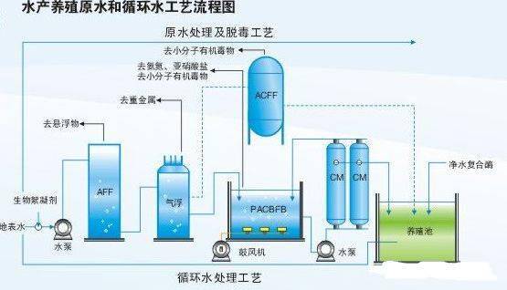 工廠化養殖,污水怎么處理 妙方很多,速來圍觀