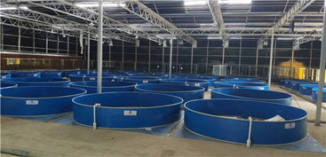 貴州實力雄厚的工廠化水產養殖廠家 追求卓越品質,創造幸福生活