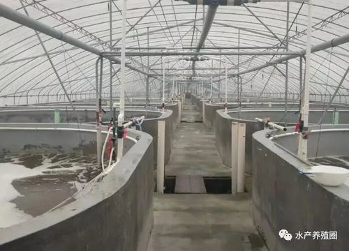 規模化水產養殖,怎么進行水處理比較好