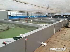 最強盤點 工廠化養什么最掙錢,這里給你點建議