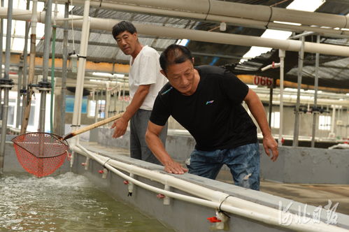 河北黃驊 現代漁業促增收