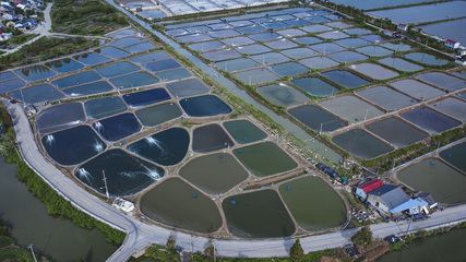 國網寧波市鄞州區供電公司:電力特巡 保障水產養殖不“缺氧”