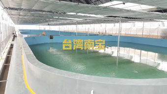 工廠化水產(chǎn)養(yǎng)殖及水泥池涂刷水產(chǎn)養(yǎng)殖漆的作用