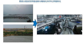 水產(chǎn)養(yǎng)殖業(yè)的機遇與挑戰(zhàn) 健康水產(chǎn)養(yǎng)殖為何要用純氧