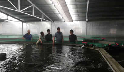 【蘇州】陽澄湖鎮領導走訪水產養殖企業