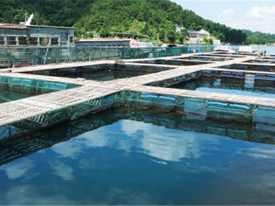 產地水產品獸藥殘留監控
