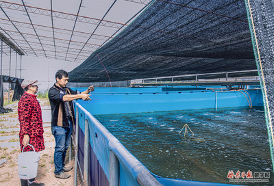 工廠化養魚