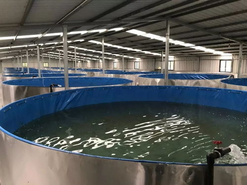 做大育強水產種業