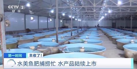 海鮮“游”進鹽堿地 “漁”樂圈讓甘肅玩明白了