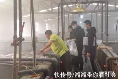 20批次全部合格!濱州市開展冬季工廠化養殖水產品監督抽查