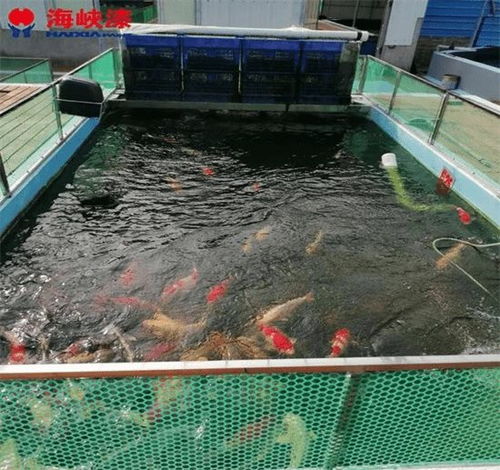 養(yǎng)殖漆成工廠化水產(chǎn)養(yǎng)殖新選擇,綠色理念打造良好生態(tài)