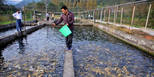 水產養殖業排放控制新規將出,允許地方 一區一策