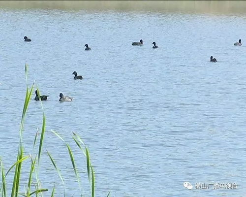 市水產站調研我區水產養殖工作