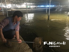 福州將推廣水產養殖全產業鏈閉合循環模式