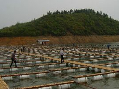 網箱養殖鑒定評估