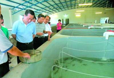 廣東汕頭建成首座水循環“魚工廠”-養殖綜合- 中國水產門戶網 - 最具影響力的水產網站
