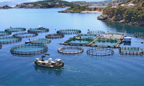 養(yǎng)魚場攝影圖