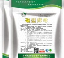 高清圖片