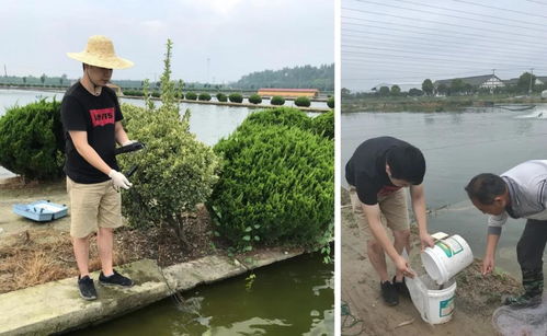 浙江省淡水水產所科技人員赴紹興及杭州開展水產養殖重大及新發疫病流行病學監測工作