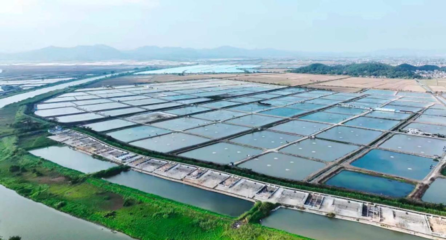 從魚塘到餐桌6重把控,半天妖品質美味背后的質量溯源