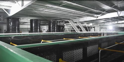 國際海鮮養殖大戶紛紛 登陸 ,海璟水產引領行業變革