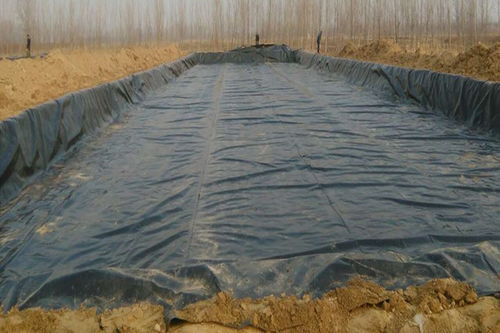 廣西hdpe土工膜哪家安全,水產養殖土工膜廠商電話