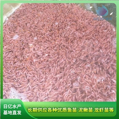 產品圖片_廣州市花都區赤坭日億水產魚苗養殖場