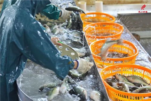 致敬 南海大城工匠獲全城高規格命名禮遇 來自西樵的他值得