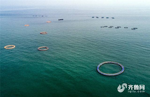 尋漁記海洋咨詢丨農業農村部:五大行動推進水產養殖業綠色發.