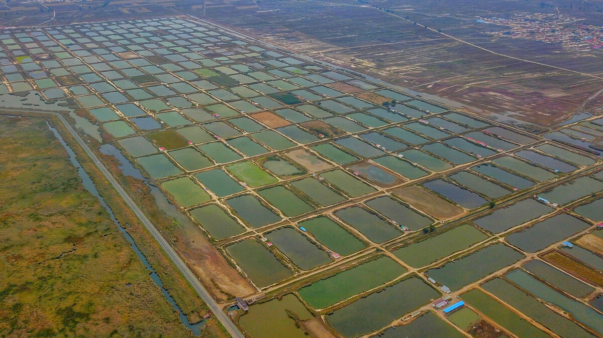 水產養殖基地
