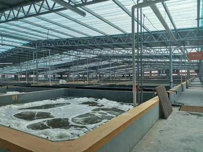 缺蝦百萬噸!工廠化養蝦將破1000萬㎡,第二屆中國工廠化養蝦大會將于8月舉行