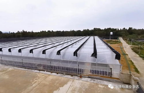 南海水產研究所研究員張家松 貢獻符合時代需求的水產養殖方案