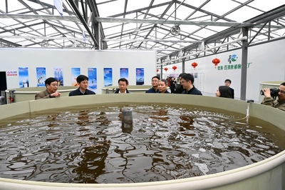 歡迎德清縣長王波一行蒞臨百源康魚菜共生植物夢工廠調研指導