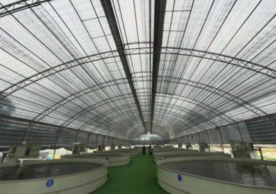 國家級水產健康養殖和生態養殖示范區!廣州花都再添“國字號”